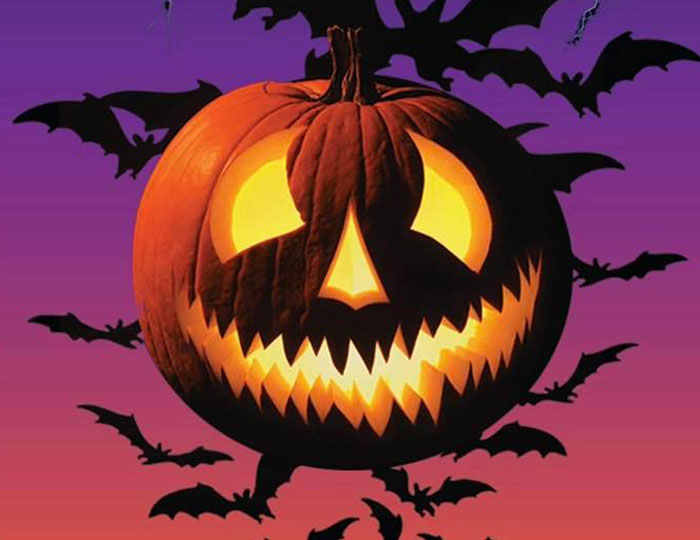 Knyght Ryder